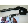 Let 'em Lead Dog Leash - 6' L x 1" W