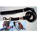 Let 'em Lead Dog Leash - 6' L x 3/4" W