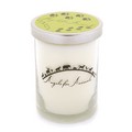 12oz Soy Blend Jar Candle - Juicy Apple<br>Item number: AFA-JA-00282-C: Dogs For the Home 