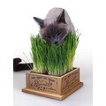 Kitty's Garden<br>Item number: 3844