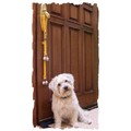 Classic Poochie-Bells: Pet Boutique Products