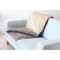 Leopard Faux Suede and Plush Microfiber Throw<br>Item number: DGSPT4511