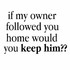 if_my_owner_followed_lg.jpg