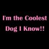 im_the_coolest_lg.jpg