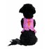 darcy_harness_back_clipped.jpg