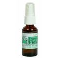 Catnip Spray Rejuvinator - 12/Case<br>Item number: FFC301: Cats Training Products 