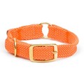 Center Ring Collar: Dogs Collars and Leads 
