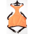 Skid Plate - Upland Orange: Dogs Pet Apparel 