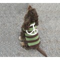 Peace Sign Sweater: Discounted Items
