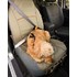copilot357.jpg