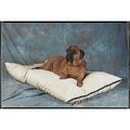 24"x30" Natural Fiber-Fabric/Fabric: Dogs Beds and Crates 