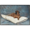 36"x48" Natural Fiber-Fabric/Fabric: Dogs Beds and Crates 