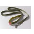 green_leashes.jpg