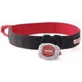 Tazlight Collar/Leash Light: Dogs Collars and Leads Lighted 