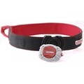 Tazlight Collar/Leash Light: Dogs Collars and Leads 