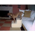 PetStairz 2 Stair Big Dawg<br>Item number: 2SBDS-D: Dogs Pet Stairs/Ramps 