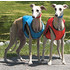 coolvest2colors.jpg