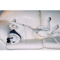 7" x 5 " Greeting Cards - Birthday #2<br>Item number: 029: Dogs Gift Products 