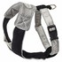 gray_v_mesh.jpg