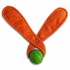 orange_ears.jpg