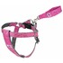 pink_harn.jpg