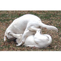 7" x 5 " Greeting Cards - Love & Relationship #9<br>Item number: 057: Dogs Gift Products 