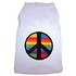peacesolidrainbowwhite.jpg