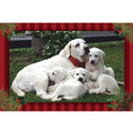 7" x 5 " Greeting Cards - Christmas #5<br>Item number: 069: Dogs Gift Products 