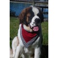 Red "Whine" Slobber Blotter XXL (32"-34" neck)