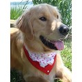 Vineyard: Dogs Accessories Bandanas 