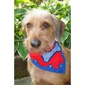 Bone-a-fido: Dogs Accessories Bandanas 