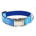 Caribbean Blue Collar/Lead: Dogs Collars and Leads Nylon, Hemp & Polly 