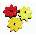 Seasonal Blooms<br>Item number: 00029: Dogs Treats Miscellaneous Treats 