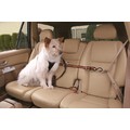 KURGO AUTO ZIP LINE WITH LEASH<br>Item number: KUR0032: Dogs Collars and Leads Lead Extensions 