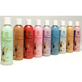Pet Scentsations Ferret Shampoo - 8 oz Bottle: Small animals Shampoos and Grooming 