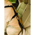 KURGO TRU-FIT STRAP LOOP<br>Item number: KUR1187: Dogs Collars and Leads Lead Extensions 