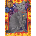 Cats - Russian Blue<br>Item number: C493: Cats Holiday Merchandise 