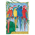 Birds - Macaws<br>Item number: C871: Birds Accessories 