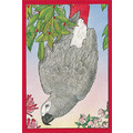 Birds-African Greys<br>Item number: C873: Birds Accessories 