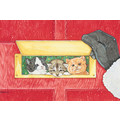 Cat Mail<br>Item number: C898: Cats Holiday Merchandise 