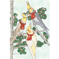 Birds-Cockatiel<br>Item number: C932: Birds Accessories 