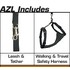 azl_stage4.jpg