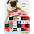 Bandana - Angel: Dogs Pet Apparel 