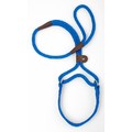 Mendota Big Dog Walker - Large 1/2" Diameter: Dogs Collars and Leads Nylon, Hemp & Polly 