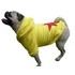 spyellows_view_2.jpg