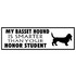 908_basset_hound.jpg