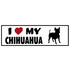 821_chihuahua.jpg