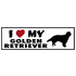 834_golden_retriever.jpg