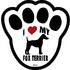 231_fox_terrier.jpg