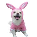 Bunny Pajama: Drop Ship Products